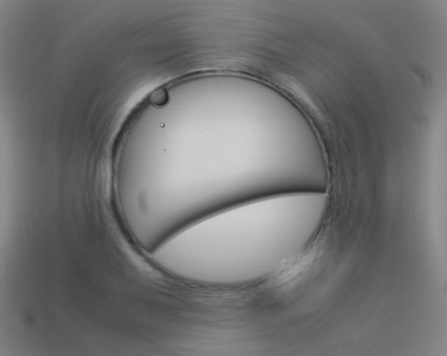 X0000114191079200910091023