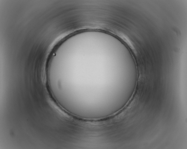 X0000114191080200910091023