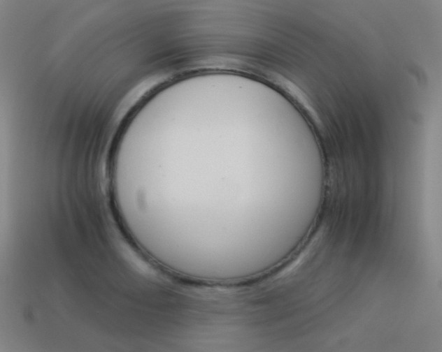 X0000114191082200910091023
