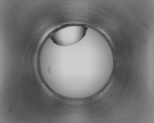 X0000114191085200910091023
