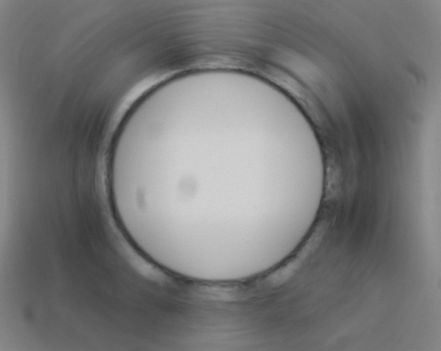 X0000114191086200910091023