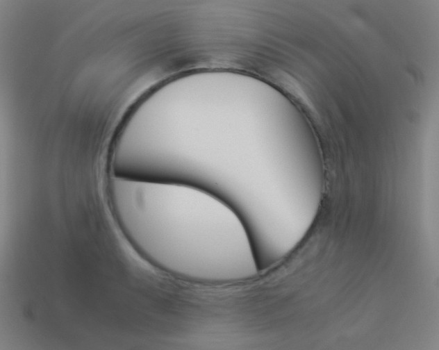 X0000114191087200910091023