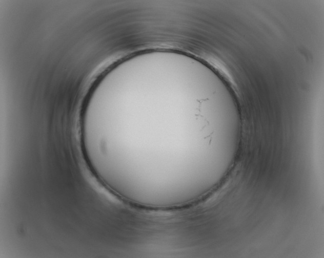 X0000114191088200910091023