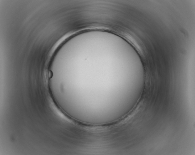 X0000114191092200910091023