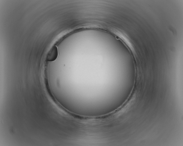 X0000114191093200910091023