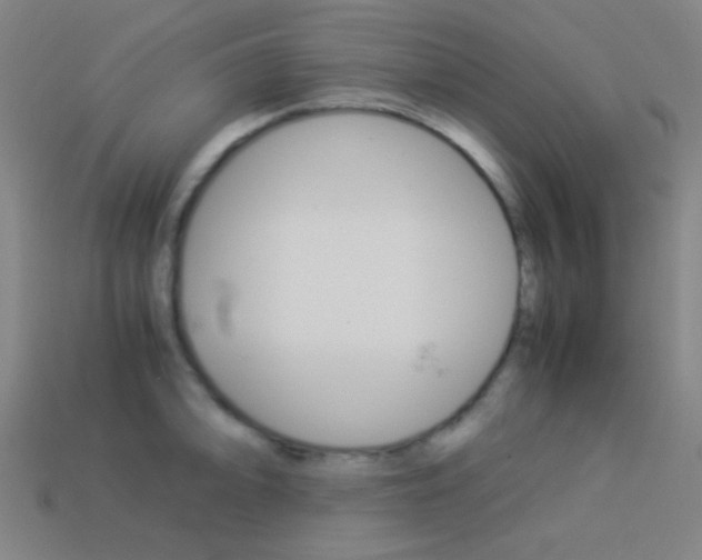 X0000114191094200910091023
