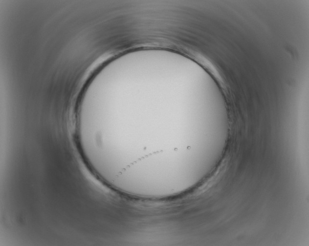 X0000114191095200910091023