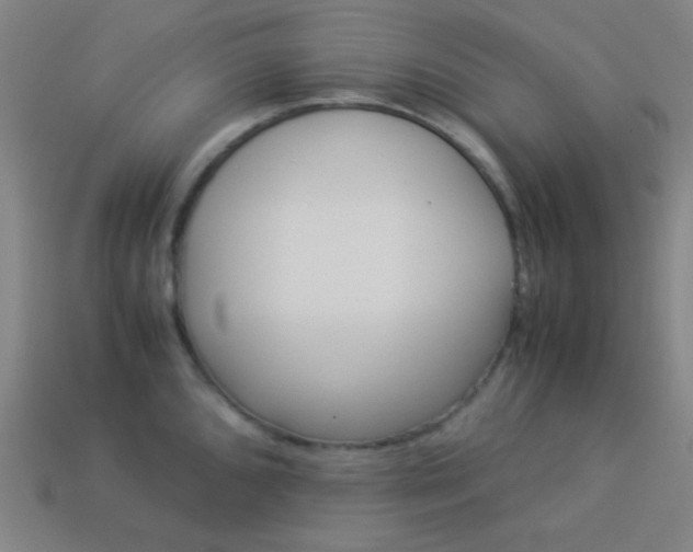 X0000114191096200910091023
