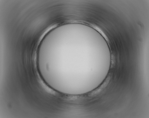 X0000114191098200910091023