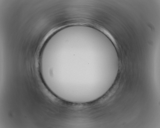 X0000114191099200910091023