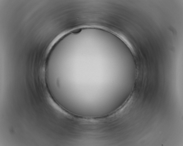 X0000114191100200910091023