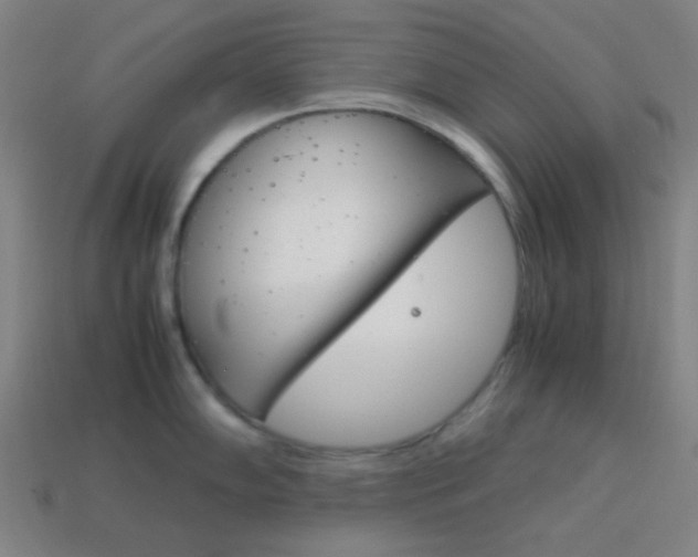 X0000114191102200910091023