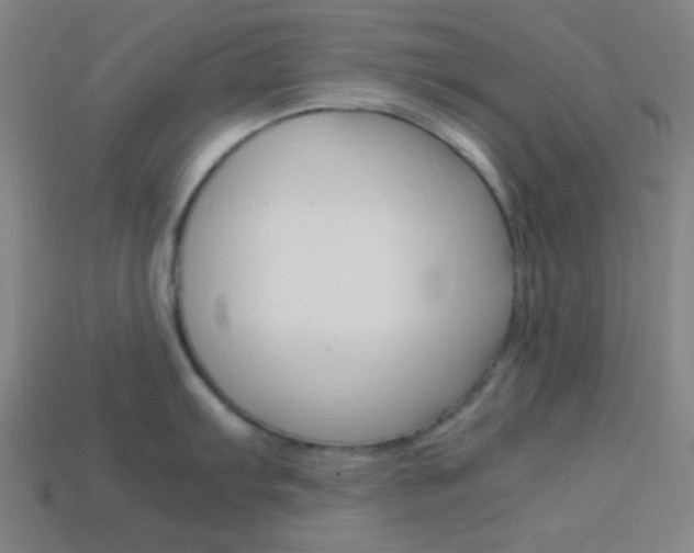 X0000114191103200910091023