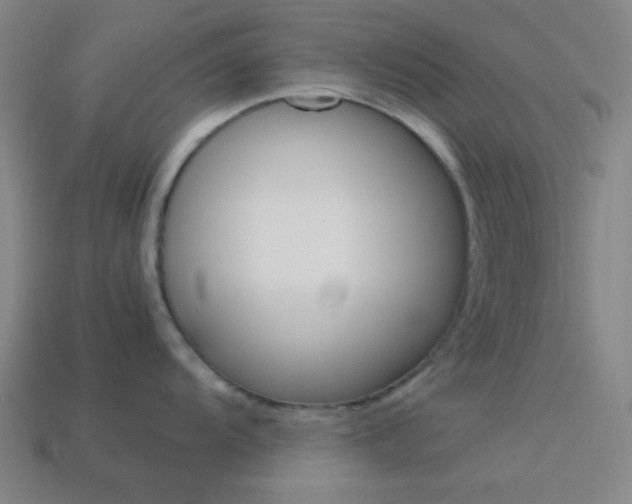 X0000114191104200910091023