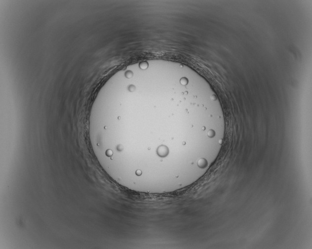 X0000114191105200910091022