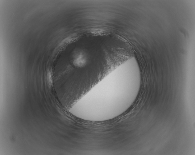 X0000114191106200910091022