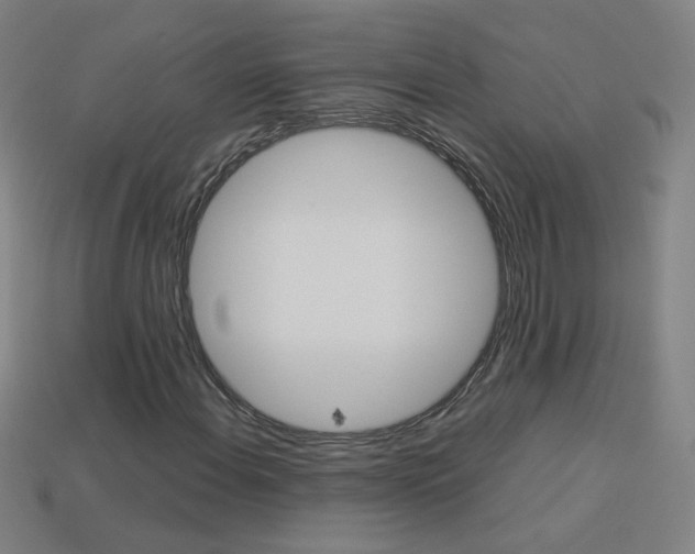 X0000114191108200910091022