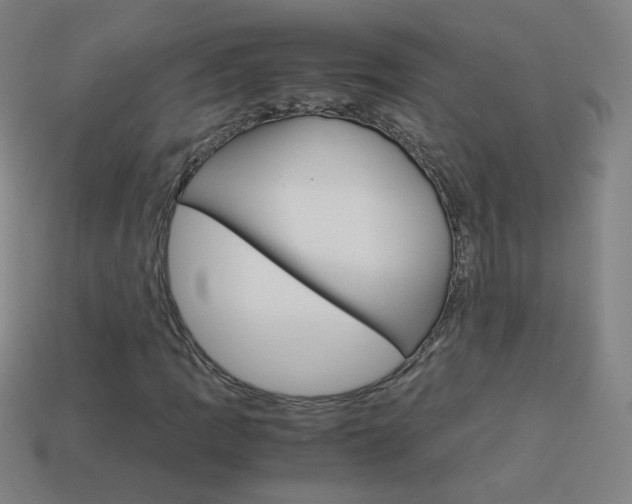 X0000114191109200910091022