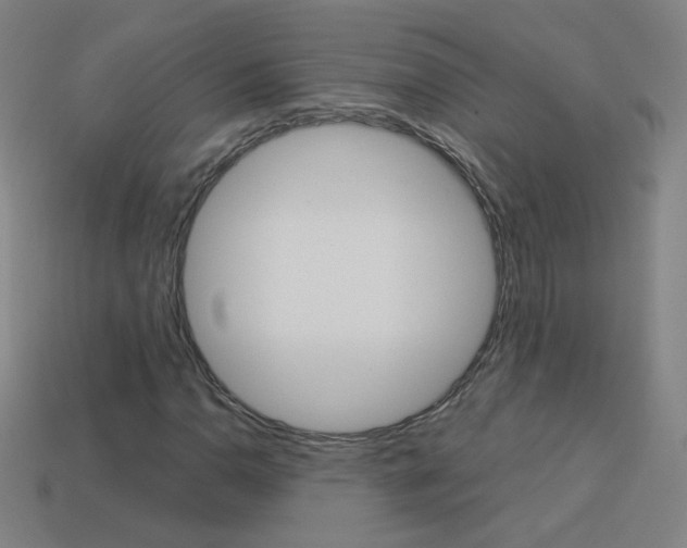 X0000114191110200910091022
