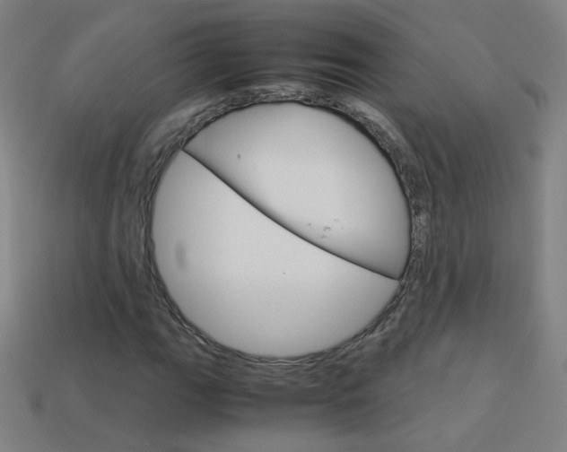 X0000114191111200910091022