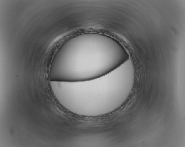 X0000114191112200910091022