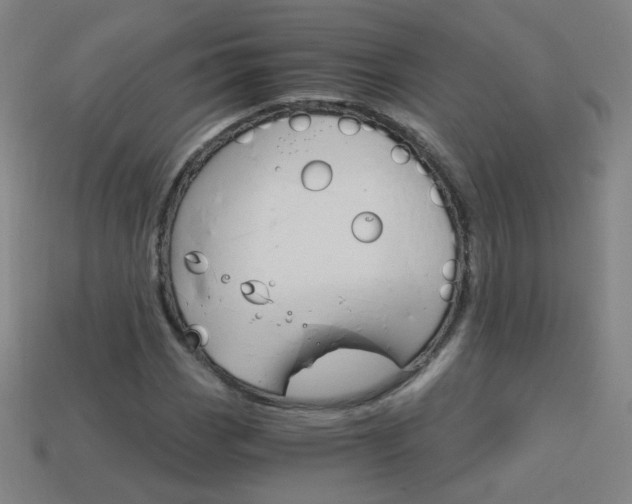 X0000114191113200910091022