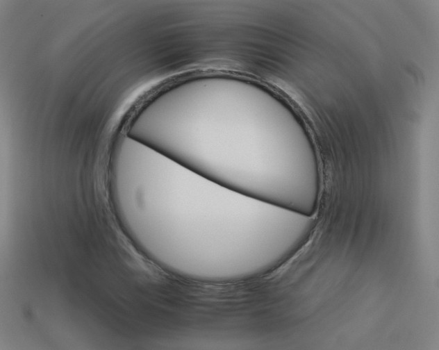 X0000114191115200910091022