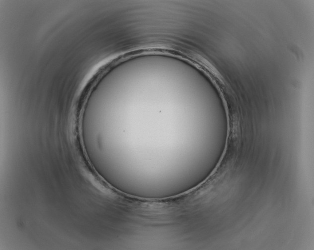 X0000114191116200910091022