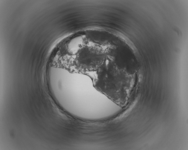 X0000114191117200910091022