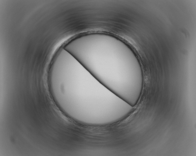 X0000114191119200910091022