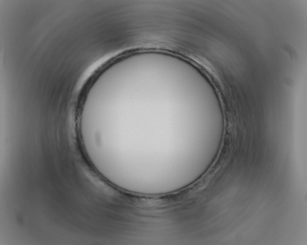 X0000114191120200910091022