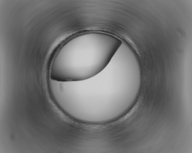 X0000114191122200910091022