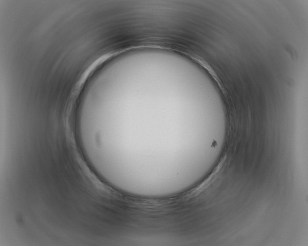 X0000114191123200910091022
