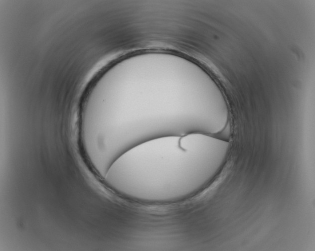 X0000114191126200910091022