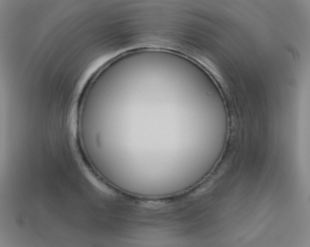X0000114191128200910091023