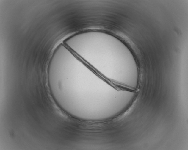 X0000114191129200910091023