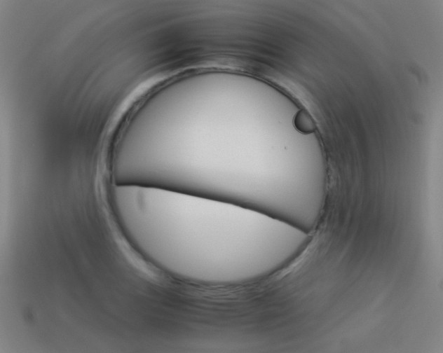 X0000114191131200910091023