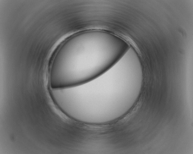 X0000114191132200910091023