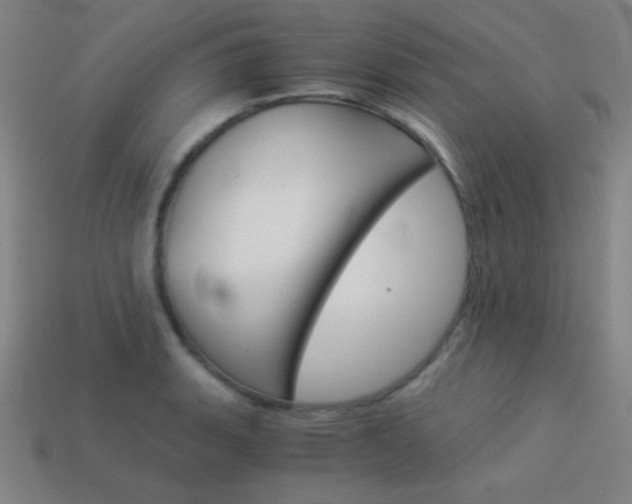 X0000114191135200910091023
