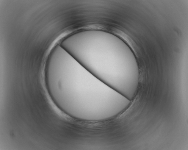 X0000114191139200910091023
