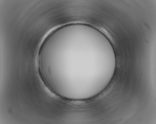 X0000114191140200910091023
