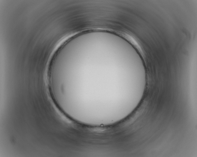 X0000114191141200910091023