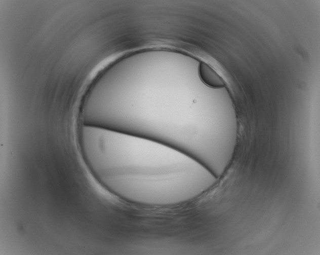 X0000114191143200910091023