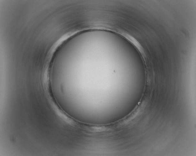 X0000114191144200910091023