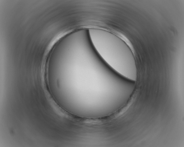 X0000114191146200910091023