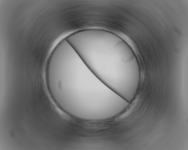 X0000114191149200910091023