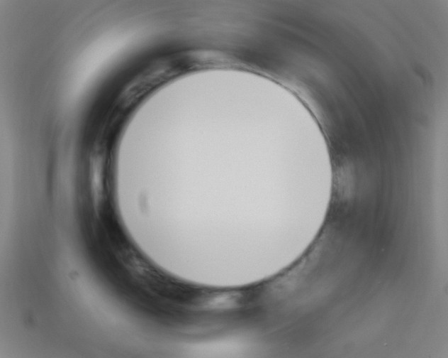 X0000114191150200910091023