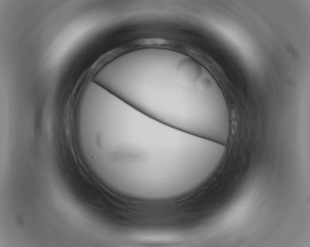 X0000114191151200910091023