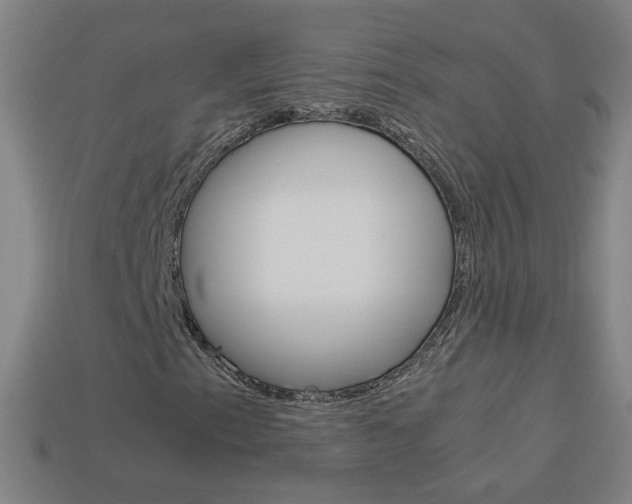 X0000114191153200910091022