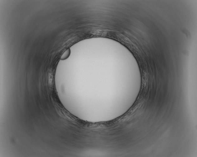 X0000114191154200910091022